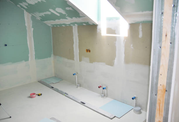 Best Crawl Space Mold Remediation  in USA